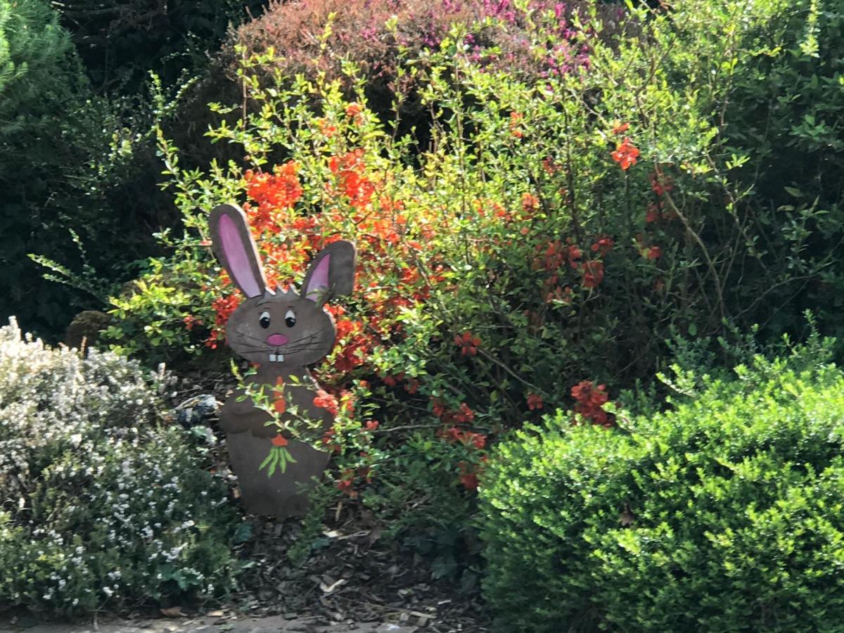 Bien Etre Et Detente Chez Cote Campagne Et Jardin Ohnenheim Bagian luar foto